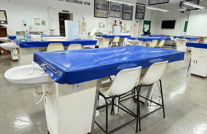 Laboratório de Anatomia