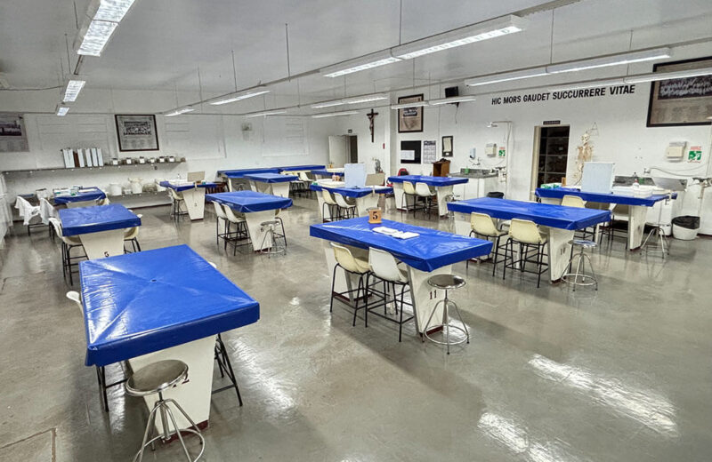 Laboratório de Anatomia - sala